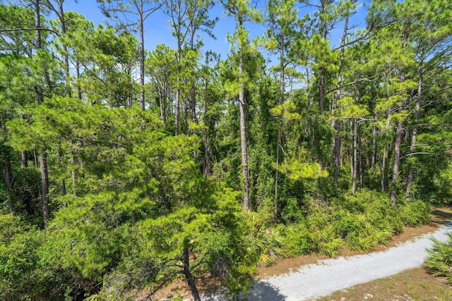250 Beach Bike Way, Inlet Beach, FL 32461 - view of woods