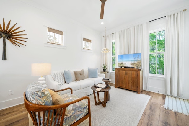250 Beach Bike Way, Inlet Beach, FL 32461 - living room with light wood finished floors, ceiling fan, and baseboards