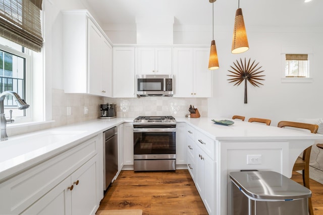 250 Beach Bike Way, Inlet Beach, FL 32461 - kitchen featuring stainless steel appliances, a kitchen bar, a peninsula, a sink, and plenty of natural light