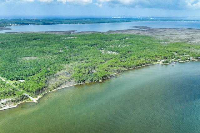 78 Whispering Shr Cv, Santa Rosa Beach, FL 32459 - photo 10