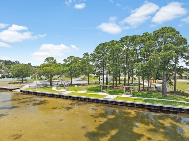 14 Bayshore Pines Ct, Miramar Beach, FL 32550 - surrounding community with a water view
