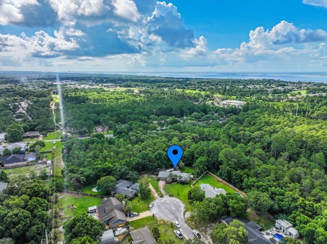 3995 Spanish Moss Cv, Gulf Breeze, FL 32563 - drone / aerial view of a forest