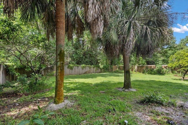 3995 Spanish Moss Cv, Gulf Breeze, FL 32563 - view of fenced backyard