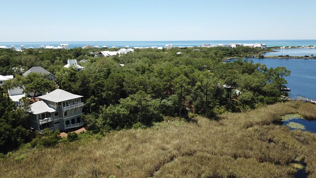 LOT2 Cove Creek Ln, Inlet Beach, FL 32461 - photo 15