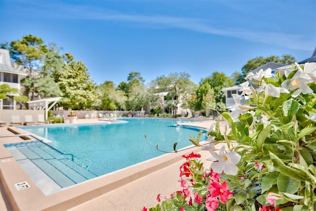9815 US Highway 98 Unit 34, Miramar Beach, FL 32550 - view of community pool