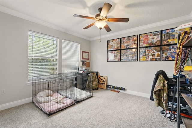 2609 Hartman Ct, Navarre, FL 32566 - photo 31