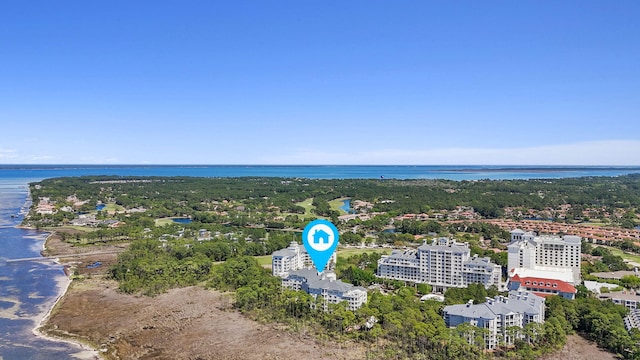 9700 Grand Sandestin Blvd Unit 4313, Miramar Beach, FL 32550 - drone / aerial view of a large body of water