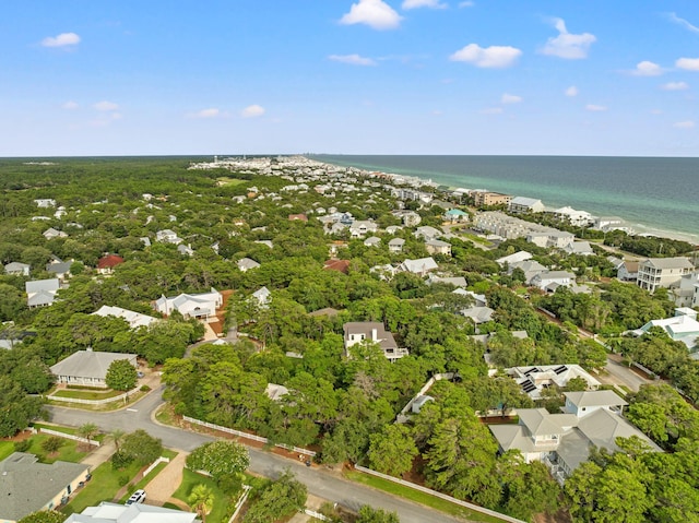 31 Seabreeze Pl, Inlet Beach, FL 32461 - photo 66