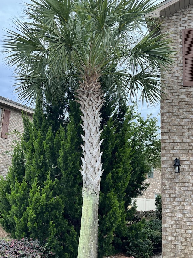 2131 Wilsons Plover Cir, Navarre, FL 32566 - exterior view of brick siding