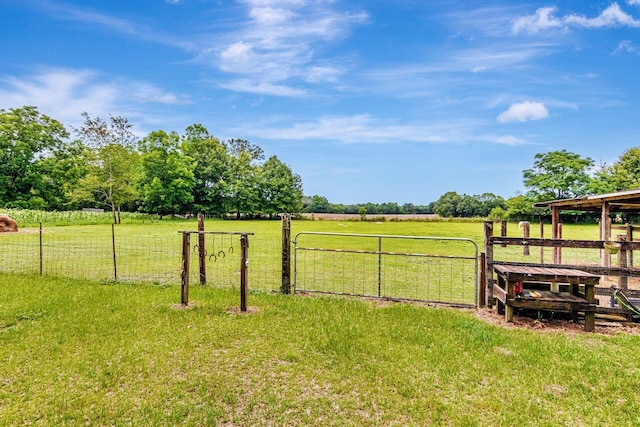 3544 State Highway 85, Laurel Hill, FL 32567 - view of yard with a view of countryside and a gate