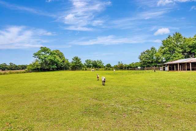 3544 State Highway 85, Laurel Hill, FL 32567 - view of grassy yard featuring a view of rural / pastoral area and an outbuilding