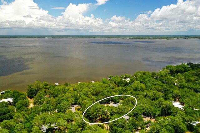 180 E Mitchell Ave, Santa Rosa Beach, FL 32459 - aerial view of a large body of water and a forest