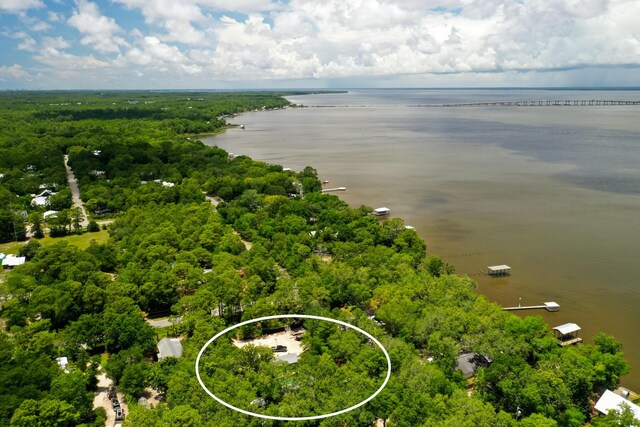 180 E Mitchell Ave, Santa Rosa Beach, FL 32459 - aerial view of a large body of water and a forest