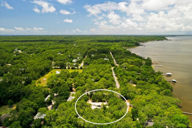 180 E Mitchell Ave, Santa Rosa Beach, FL 32459 - aerial view of a forest and a large body of water