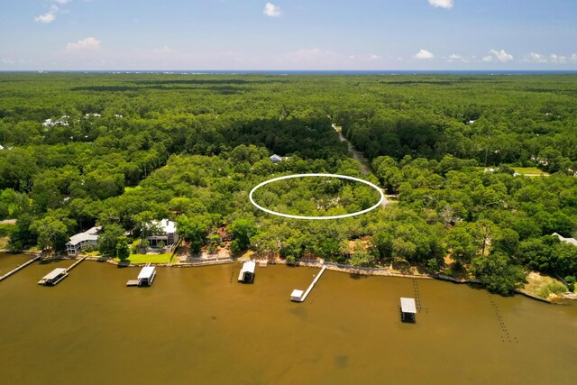 180 E Mitchell Ave, Santa Rosa Beach, FL 32459 - bird's eye view of a forest and a large body of water