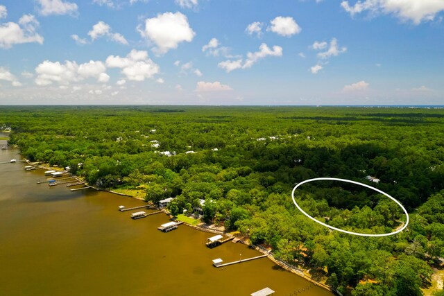 180 E Mitchell Ave, Santa Rosa Beach, FL 32459 - bird's eye view of a heavily wooded area and a large body of water