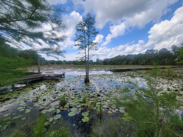 1989 Juniper Lake Rd, Defuniak Springs, FL 32433 - water view featuring a floating dock