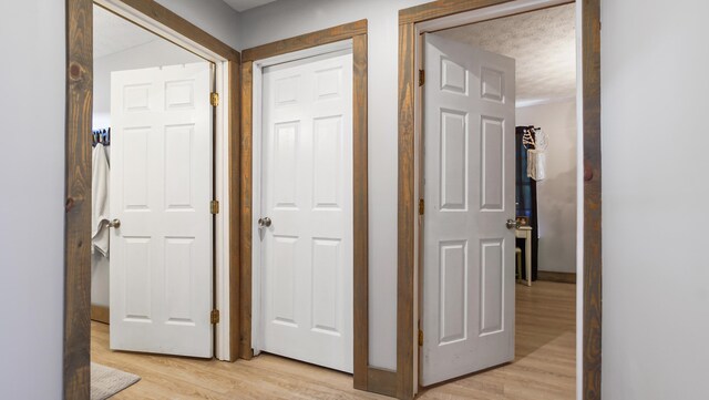 241 Mullet Dr, Freeport, FL 32439 - hallway with light wood finished floors