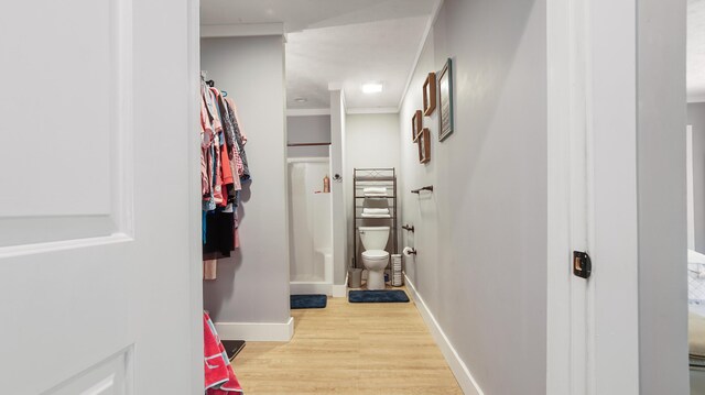 241 Mullet Dr, Freeport, FL 32439 - hallway featuring light wood finished floors and baseboards