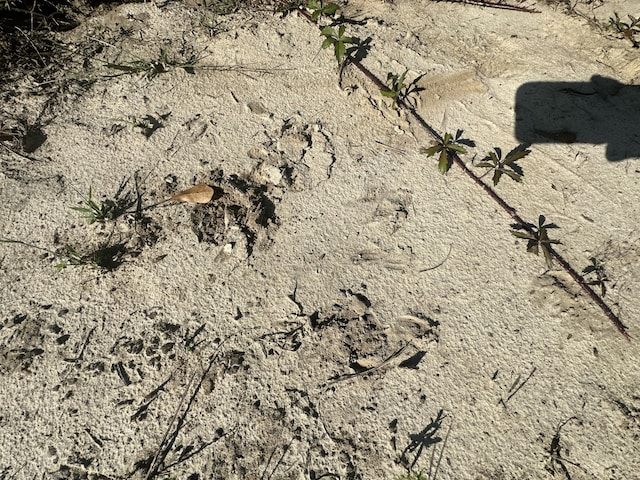 ParcelH Millside Road, Laurel Hill, FL 32567