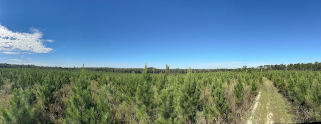 ParcelH Millside Road, Laurel Hill, FL 32567