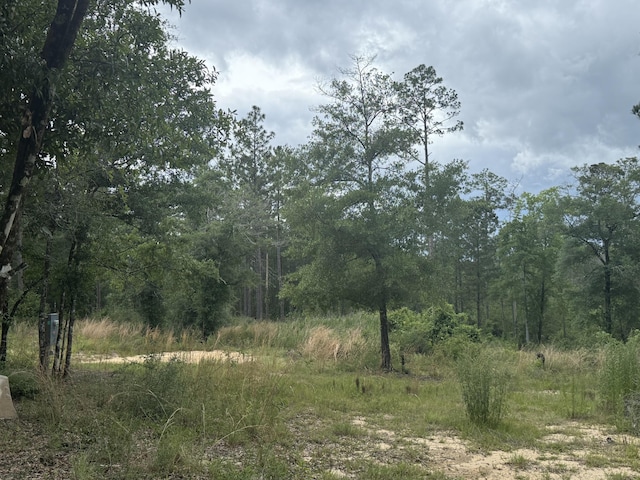 1300 Crowder Chapel Rd, Crestview, FL 32539