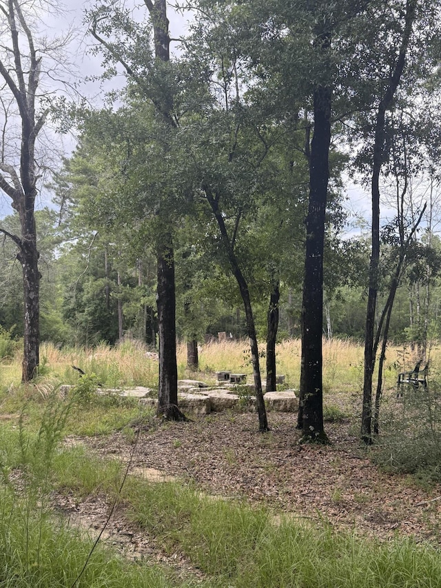 1300 Crowder Chapel Rd, Crestview, FL 32539