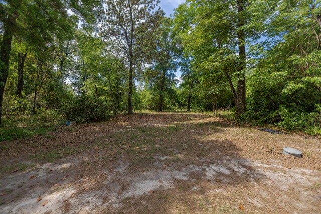 4187 Shell Landing Rd, Vernon, FL 32462 - photo 39