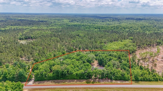 4187 Shell Landing Rd, Vernon, FL 32462 - photo 54