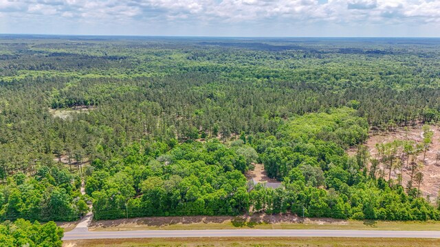 4187 Shell Landing Rd, Vernon, FL 32462 - photo 55