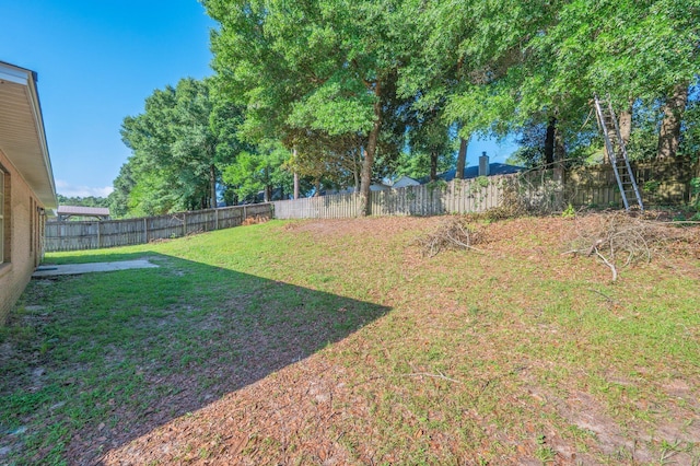 407 Tobago Ct, Crestview, FL 32536 - view of yard