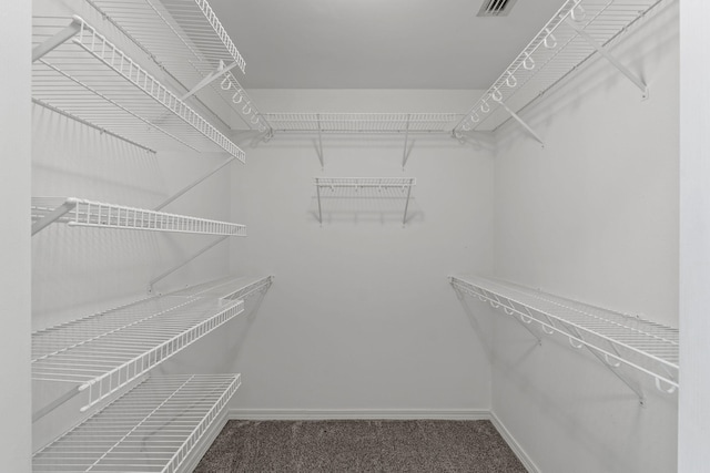 2741 Creeks Edge Ln, Navarre, FL 32566 - walk in closet with carpet floors