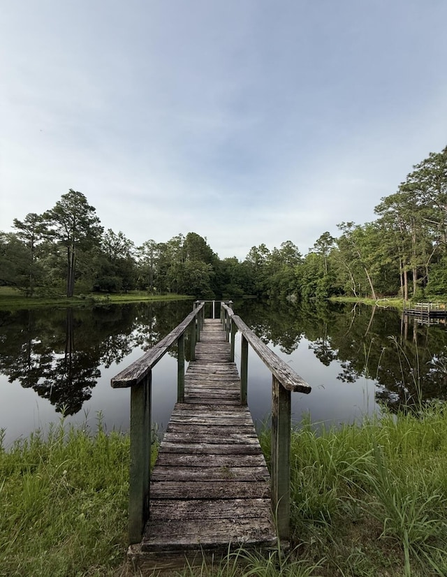 2226 W James Lee Blvd, Crestview, FL 32536 - dock area with a water view and a forest view
