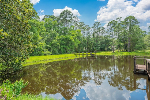 2226 W James Lee Blvd, Crestview, FL 32536 - water view featuring a forest