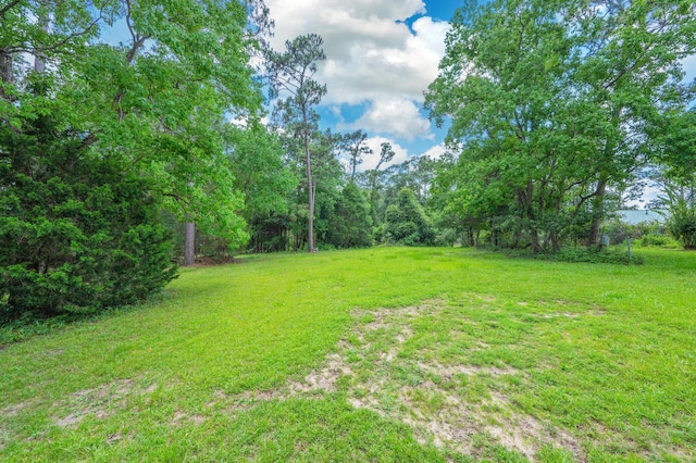 2226 W James Lee Blvd, Crestview, FL 32536 - view of grassy yard