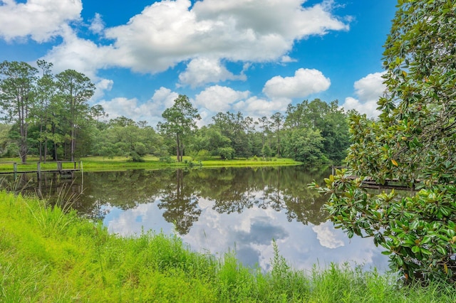 2226 W James Lee Blvd, Crestview, FL 32536 - water view with a heavily wooded area