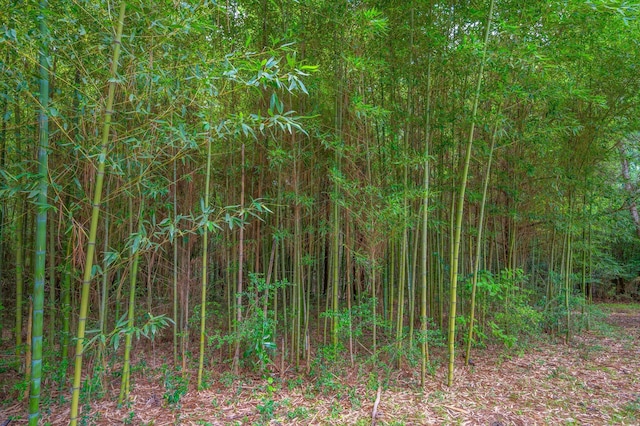 2226 W James Lee Blvd, Crestview, FL 32536 - view of nature
