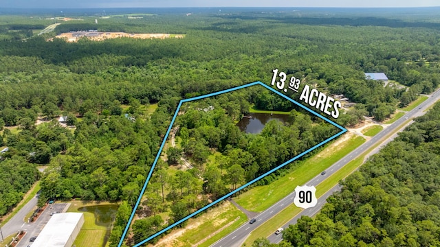 2226 W James Lee Blvd, Crestview, FL 32536 - view of property location featuring a forest and property boundaries highlighted