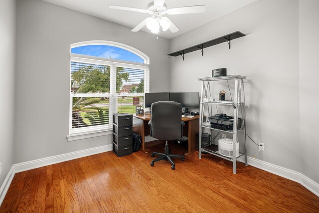 203 Landings Dr, Lynn Haven, FL 32444 - office space with baseboards, ceiling fan, and light wood finished floors