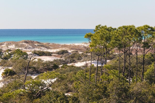 103 Coopersmith Ln, Inlet Beach, FL 32461 - photo 32