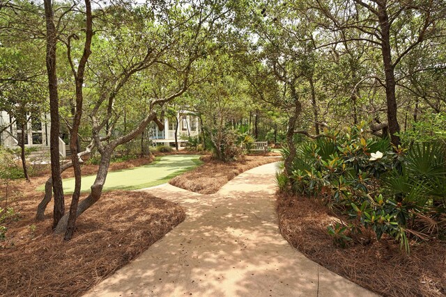 103 Coopersmith Ln, Inlet Beach, FL 32461 - photo 39