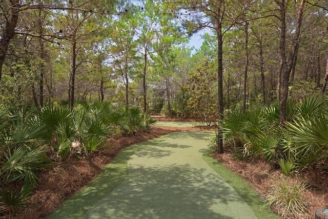 103 Coopersmith Ln, Inlet Beach, FL 32461 - photo 40