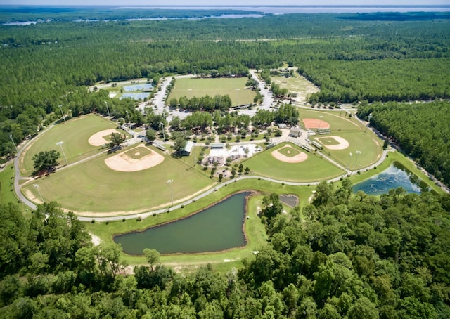 629 Earl Godwin Rd, Freeport, FL 32439 - view of property location featuring a forest and a nearby body of water