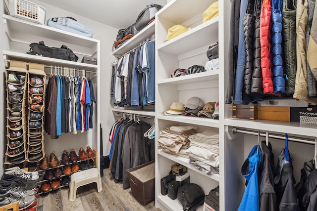 304 Windrow Way, Inlet Beach, FL 32461 - walk in closet with wood finished floors
