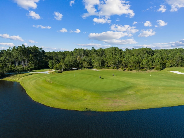304 Windrow Way, Inlet Beach, FL 32461 - view of home's community with view of golf course, a water view, view of scattered trees, and a putting area