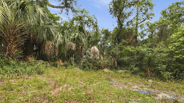530 E 7th Ct, Panama City, FL 32401 - photo 18