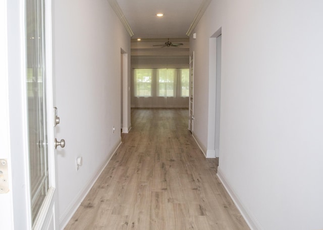 56 Secluded Cir, Freeport, FL 32439 - hall featuring light wood-type flooring and ornamental molding