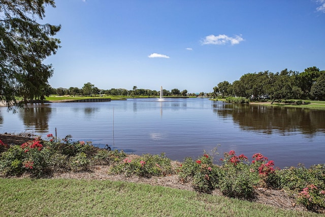 444 Captains Cir, Destin, FL 32541 - photo 93