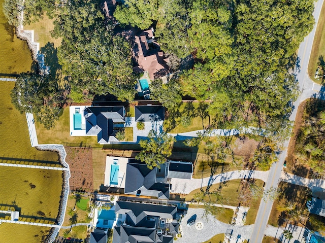 253 Driftwood Point Rd, Santa Rosa Beach, FL 32459 - bird's eye view
