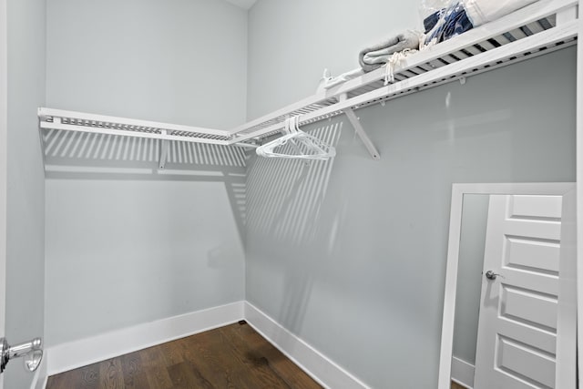 14 The Heron Cv, Inlet Beach, FL 32461 - walk in closet with dark wood-type flooring